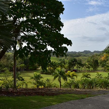 Hotel Hacienda Agroturistico Vista Hermosa Camuy Экстерьер фото