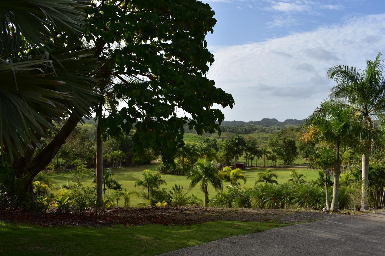 Hotel Hacienda Agroturistico Vista Hermosa Camuy Экстерьер фото